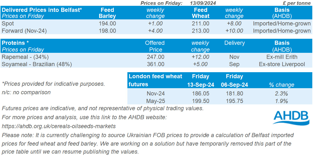 Table showing prices for grain delivered into Belfast as of 13 09 2024.